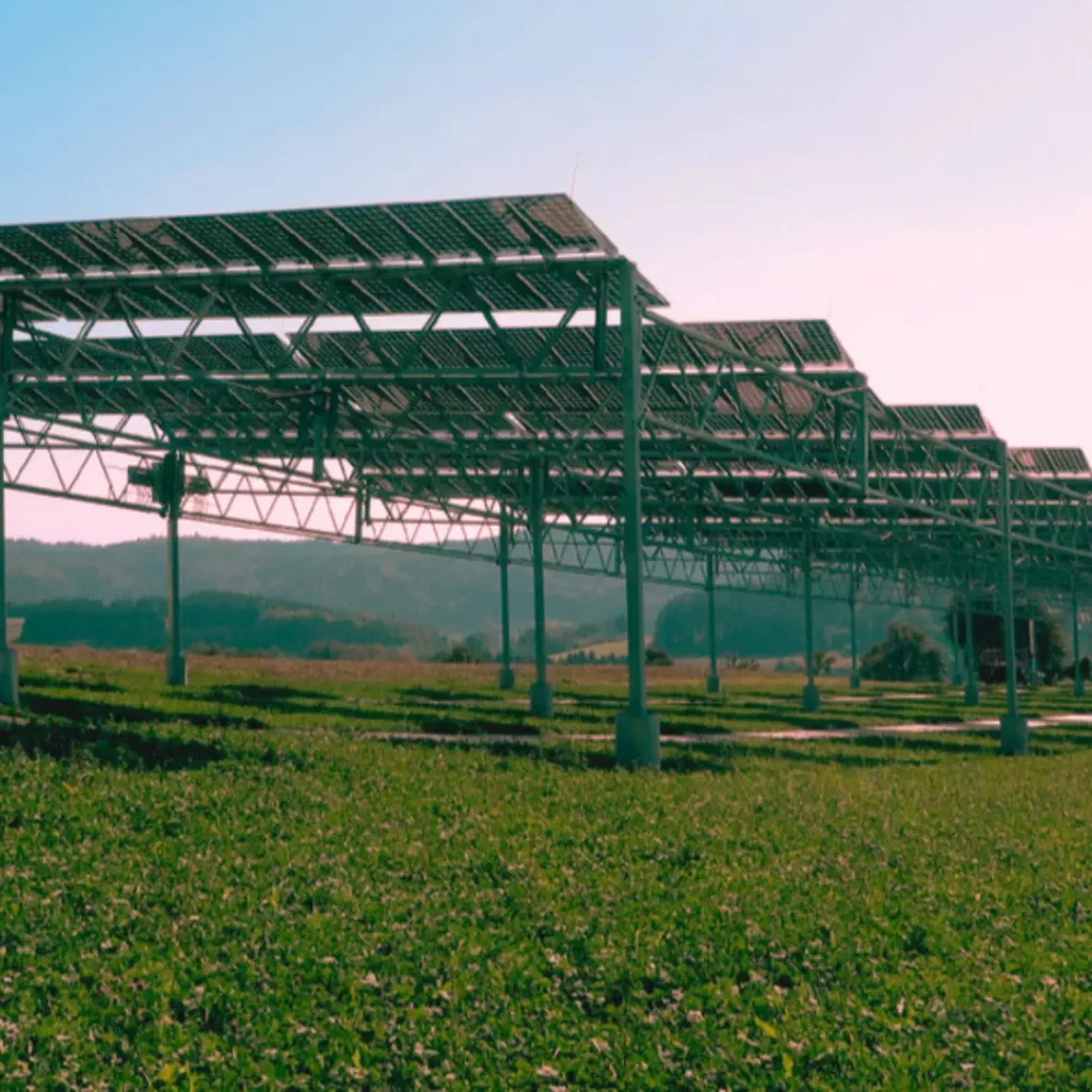 Agrar Photovoltaik Anlage